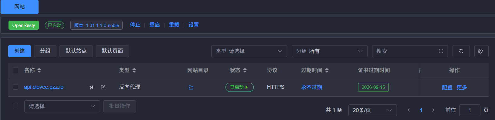 1Panel 创建反向代理